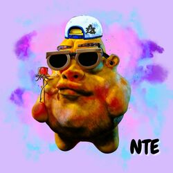 Cover of Nte