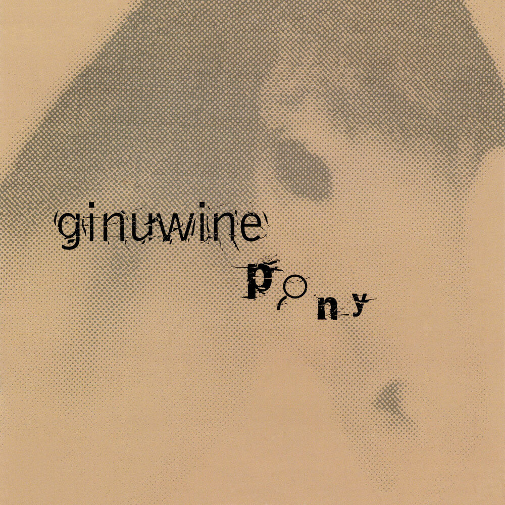 Picture of Pony Remix EP