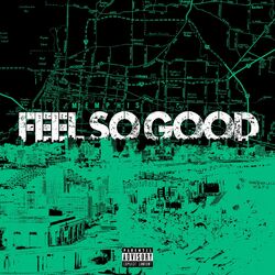 Cover of Feel So Good
