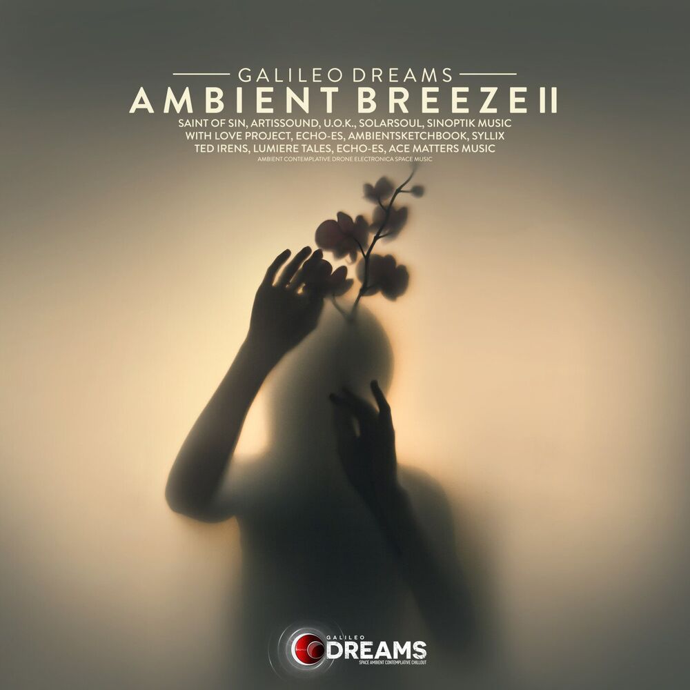 Picture of Ambient Breeze, Vol. 2