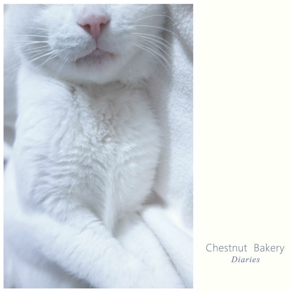 Picture of Diaries