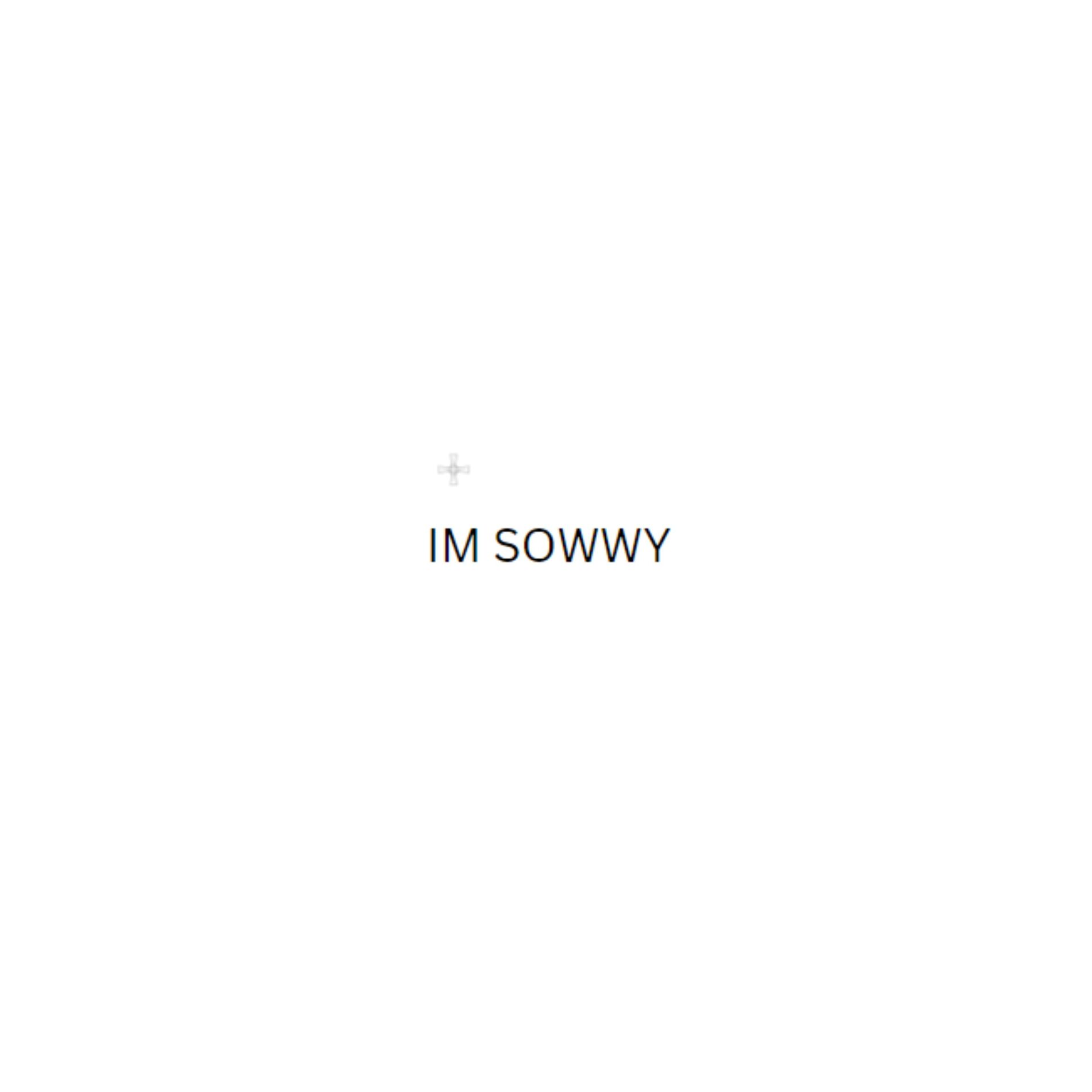 Album cover of Im Sowwy