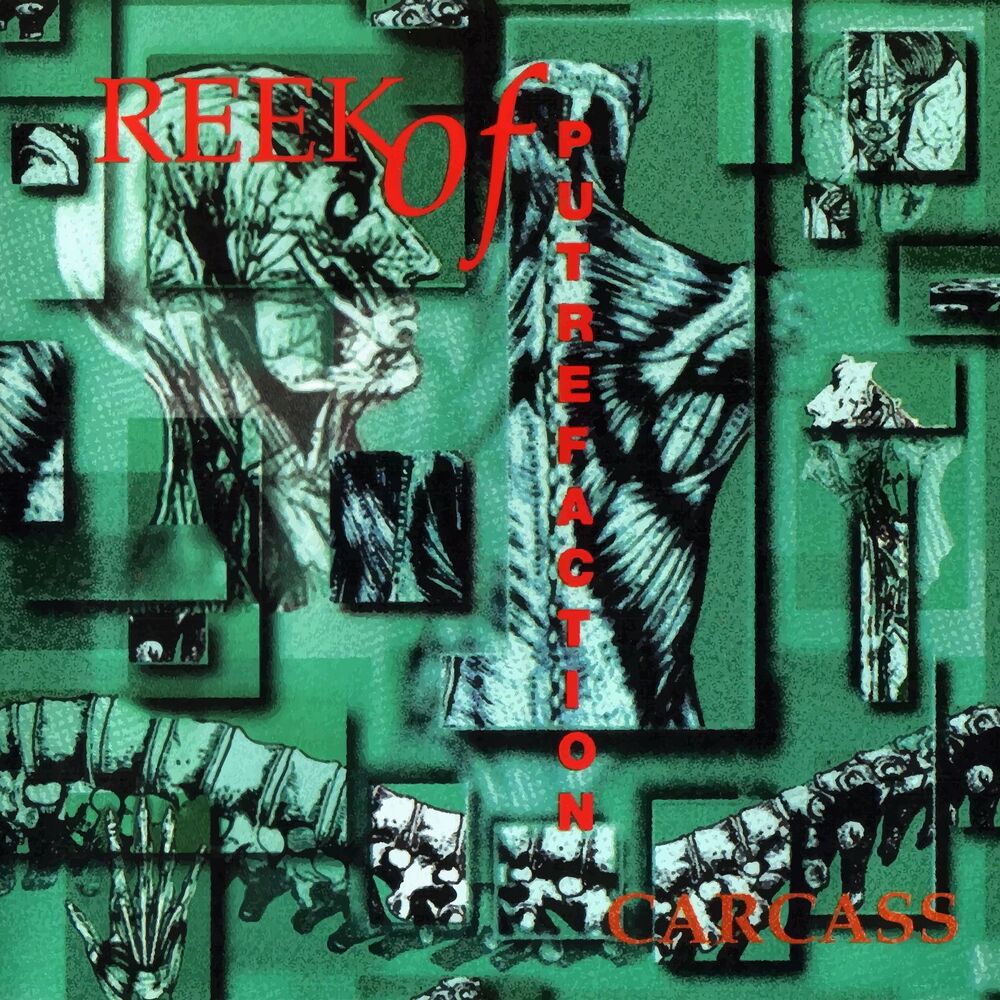 Picture of Reek of Putrefaction (Full Dynamic Range Edition)