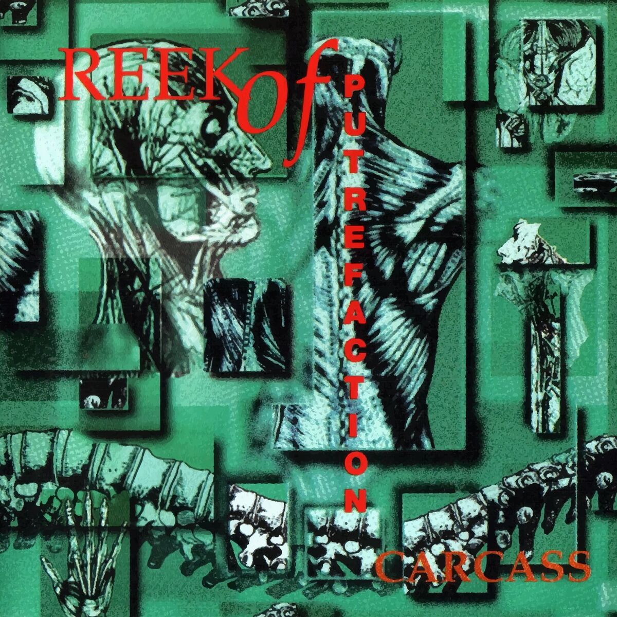 Album cover of Reek of Putrefaction