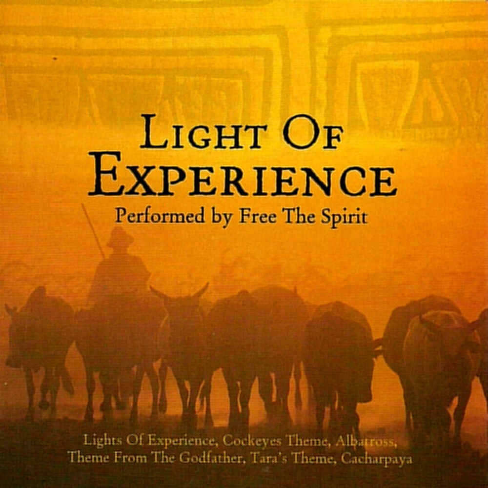 Picture of Light of Experience