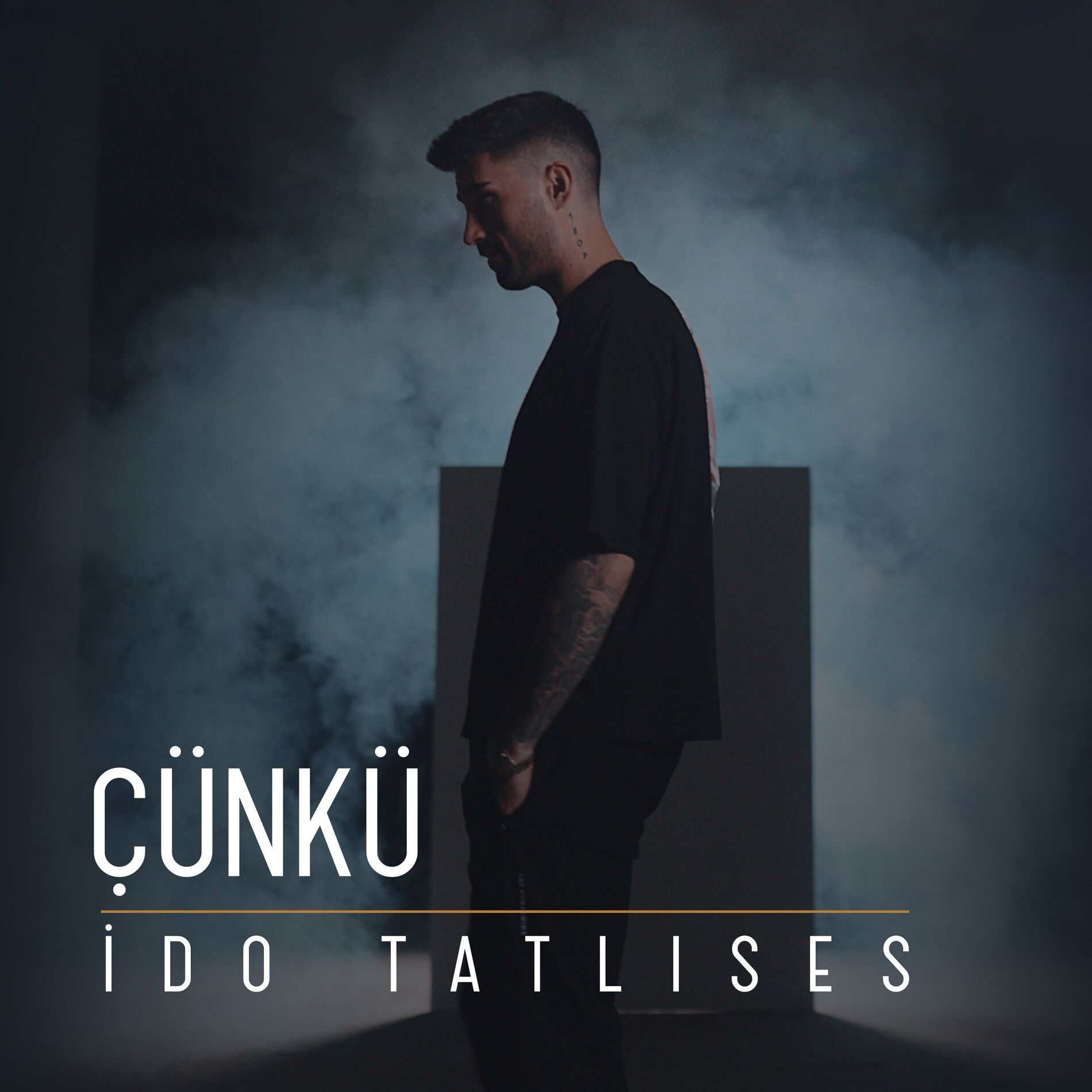 Album cover of Çünkü