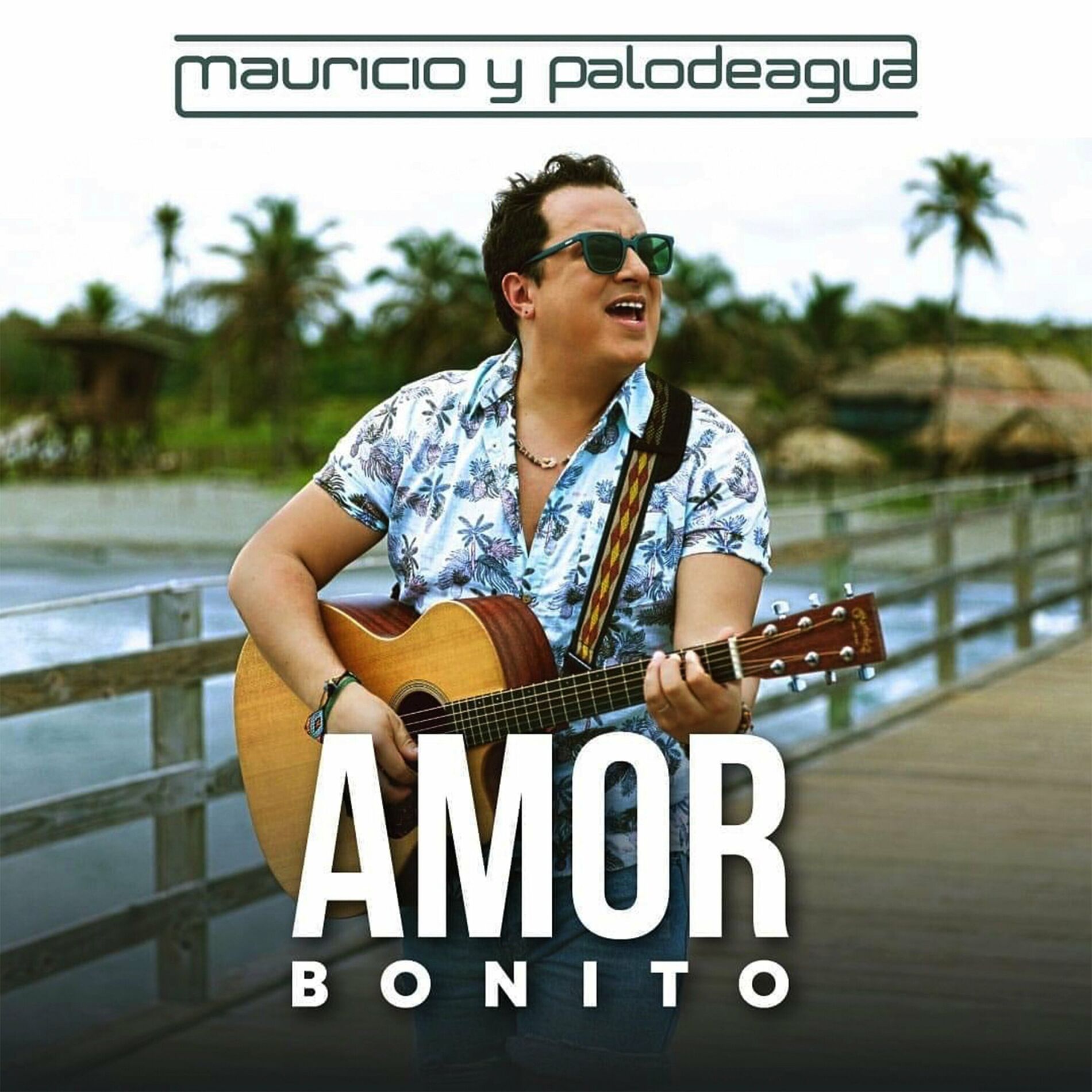 Album cover of Amor Bonito