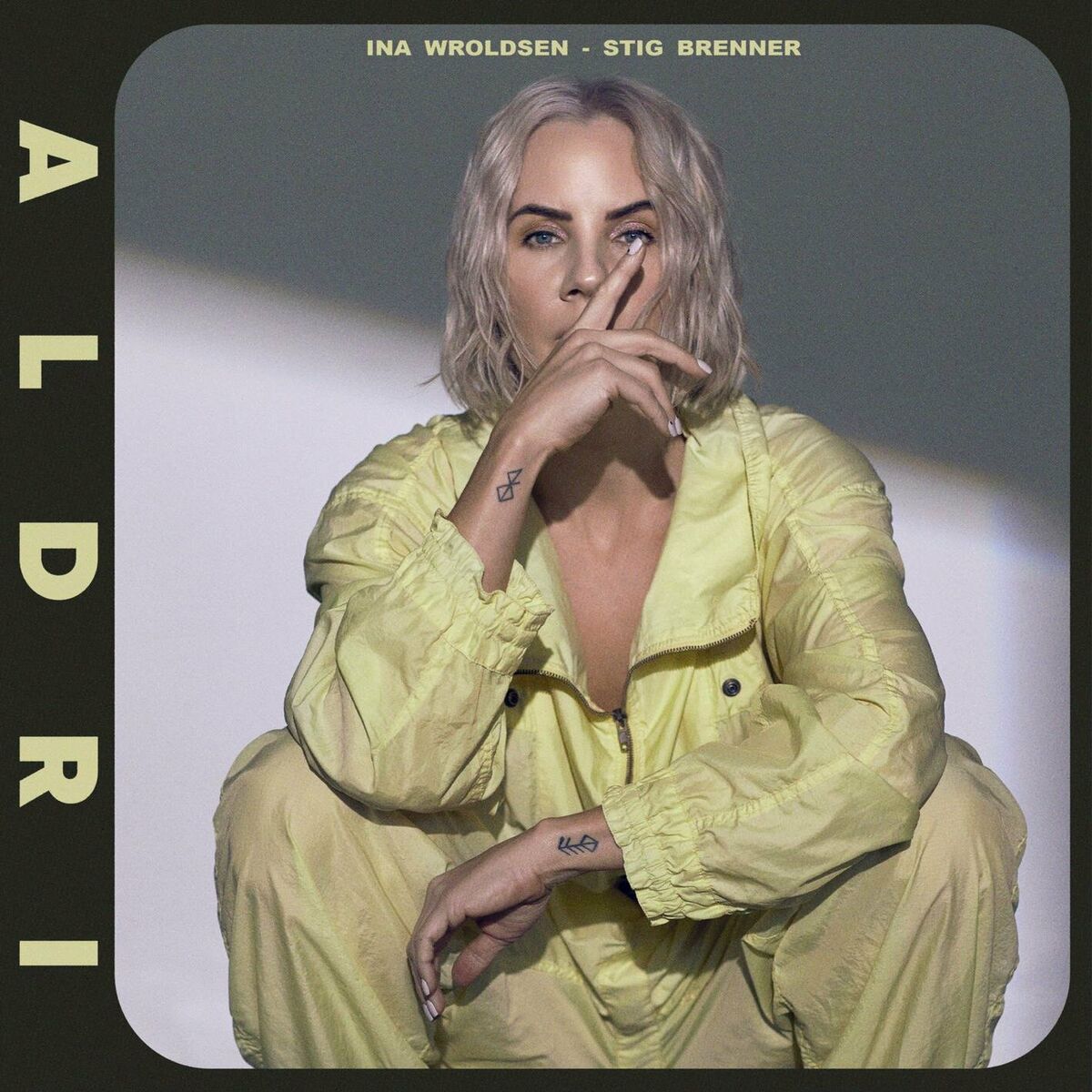 Album cover of Aldri (feat. Stig Brenner)