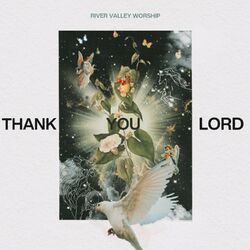 Cover of Thank You Lord (Live)