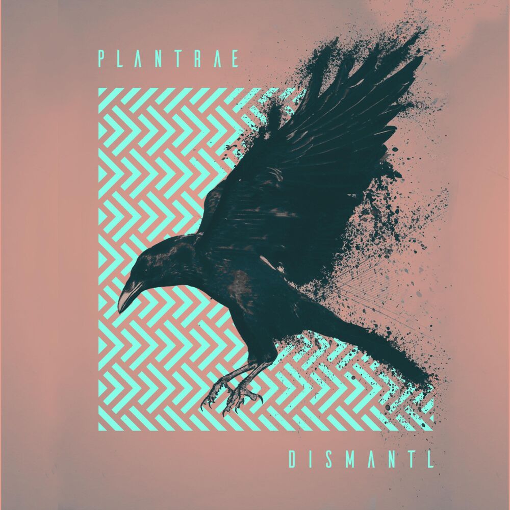 Picture of Dismantl