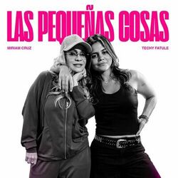 Cover of Las Pequeñas Cosas