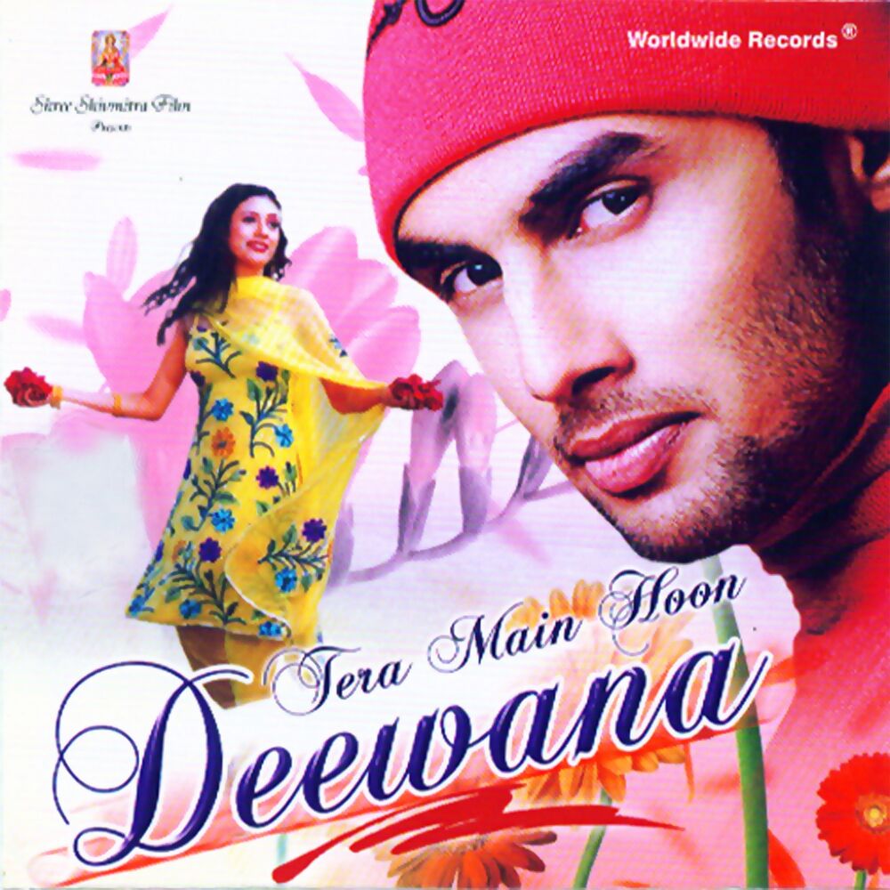 Picture of Tera Main Hoon Deewana
