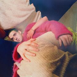 Cover of 26