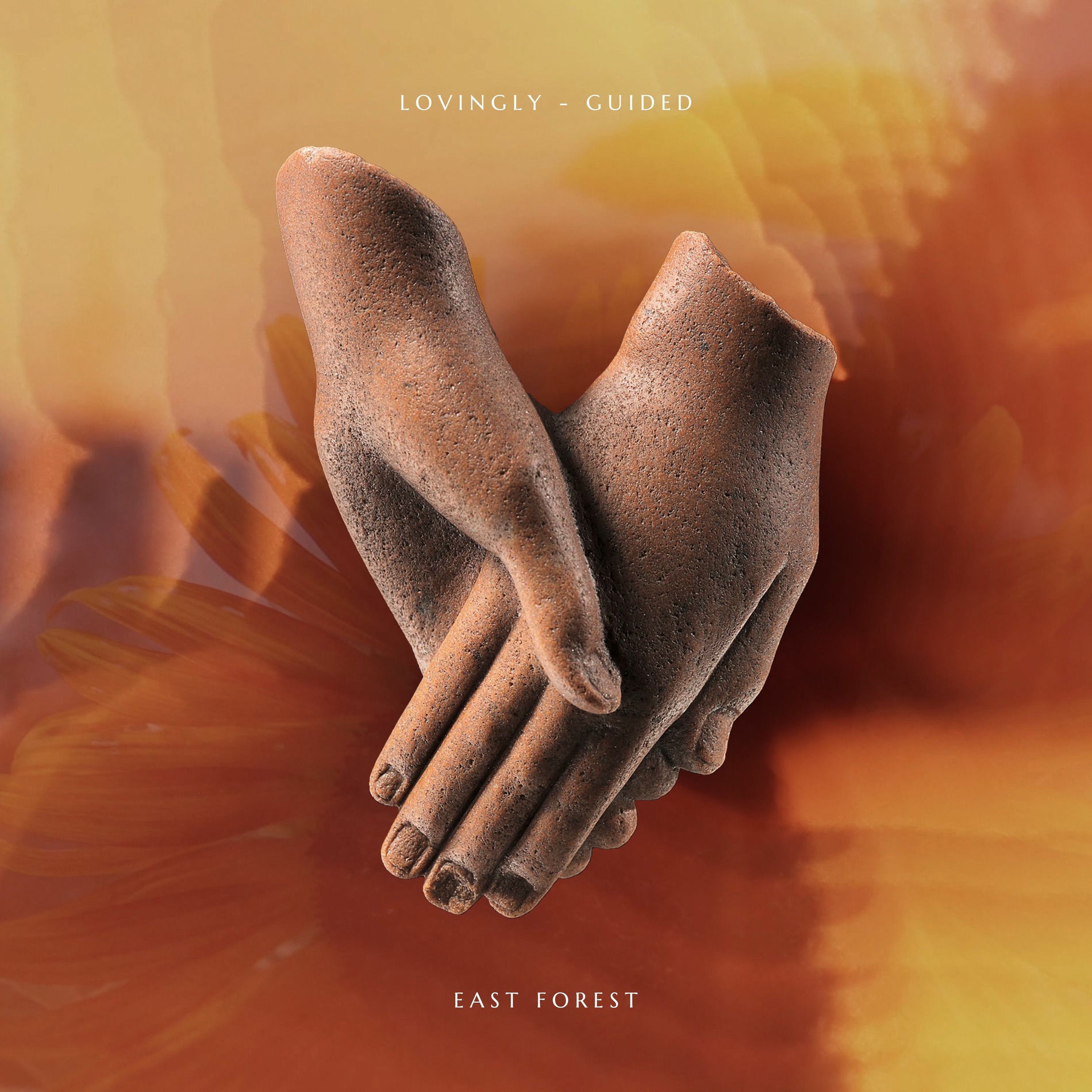 Album cover of Lovingly - Guided