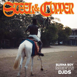 Cover of Steel & Copper