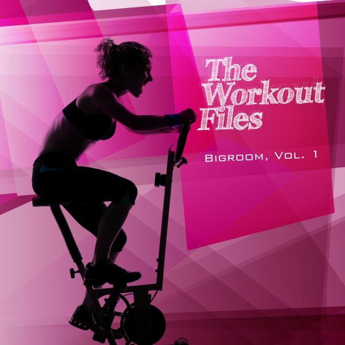 Album cover of The Workout Files - Bigroom, Vol. 1
