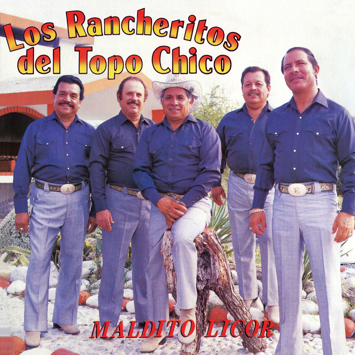 Album cover of Maldito Licor