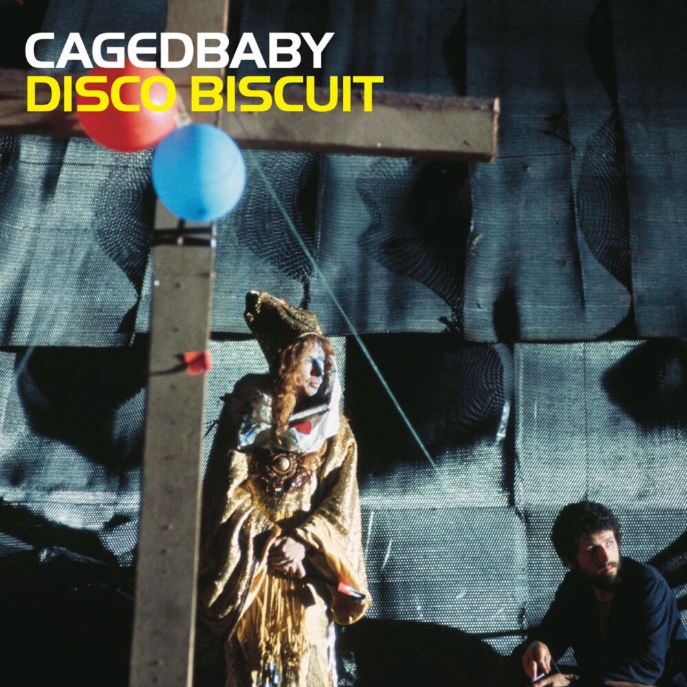 Picture of Disco Biscuit