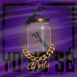 Cover of Yo No Sé