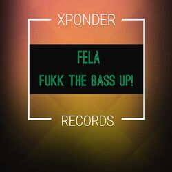 Cover of Fukk the Bass Up!