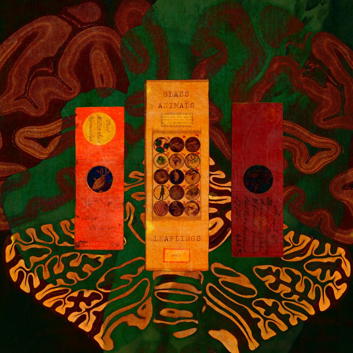 Album cover of Golden Antlers