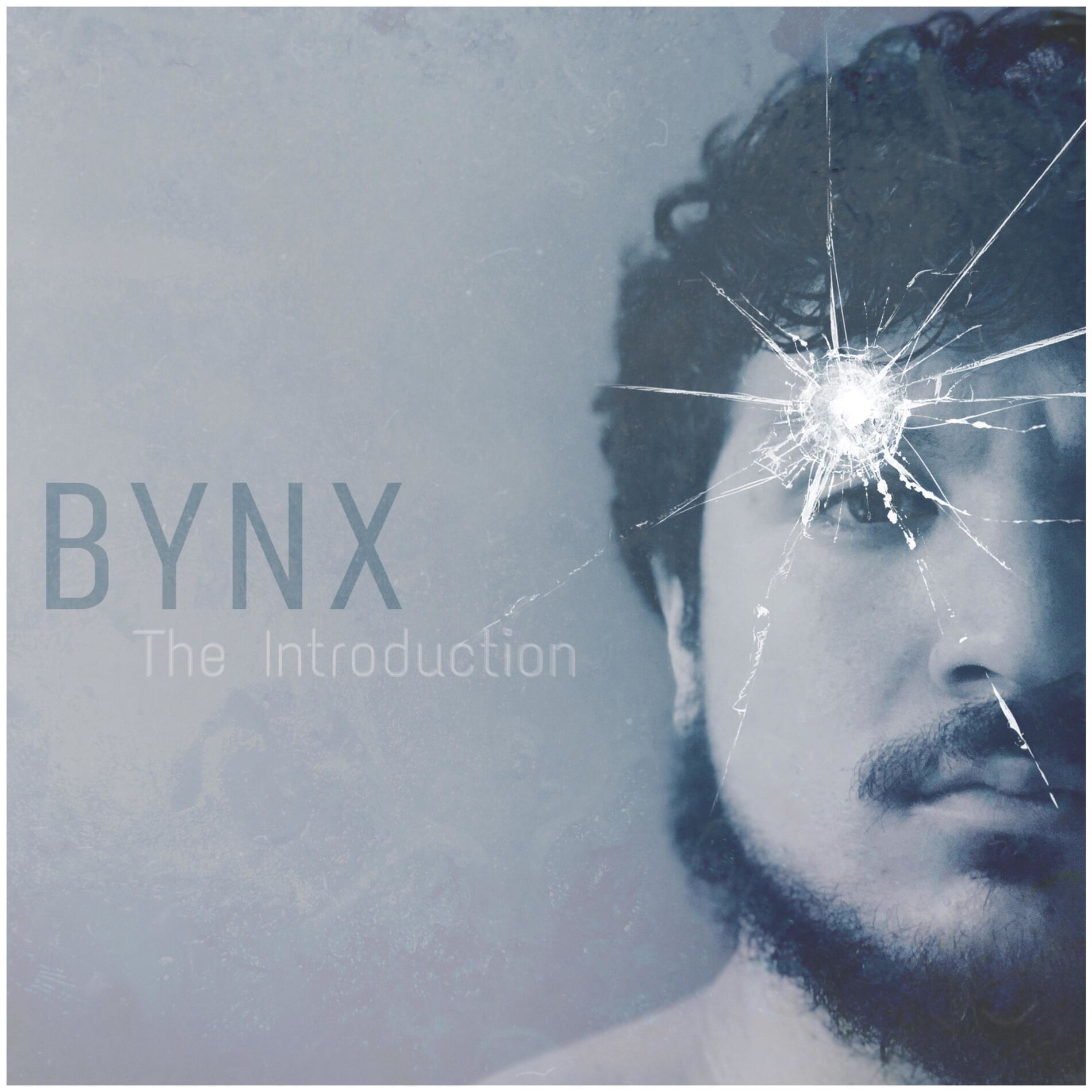 Album cover of The Introduction