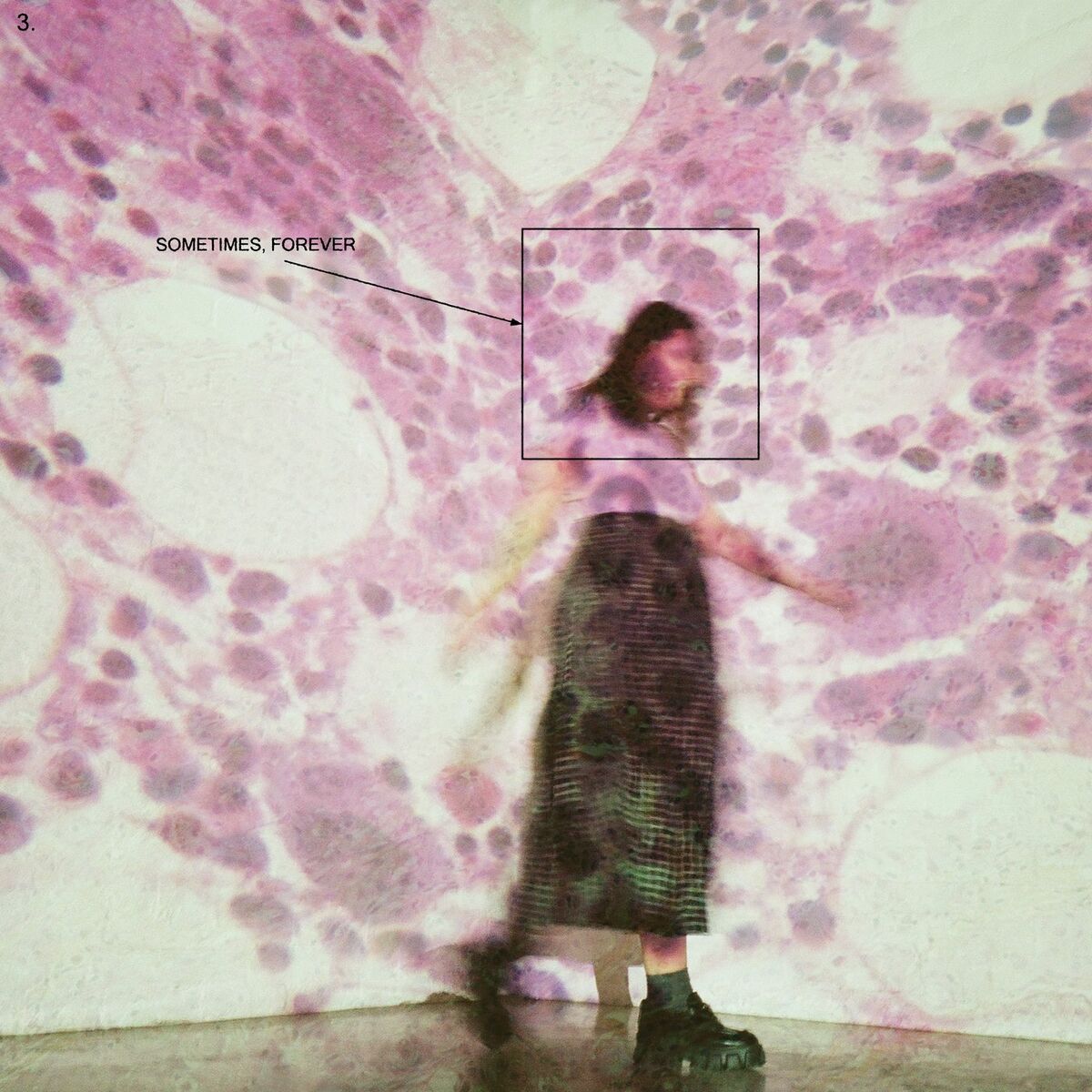 Album cover of Sometimes, Forever