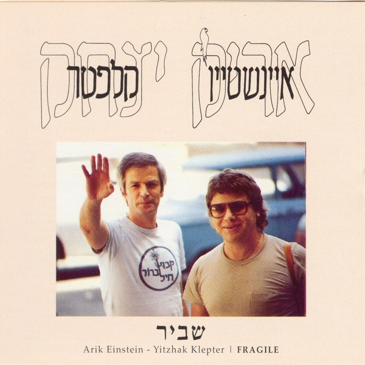 Album cover of שביר