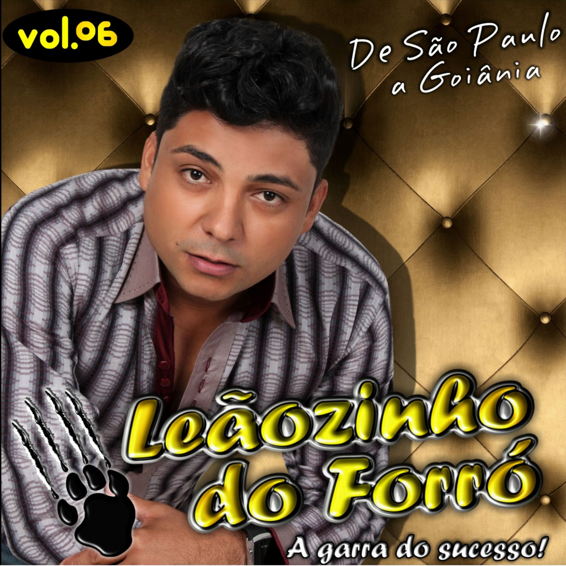 Album cover of De São Paulo a Goiânia, Vol. 06