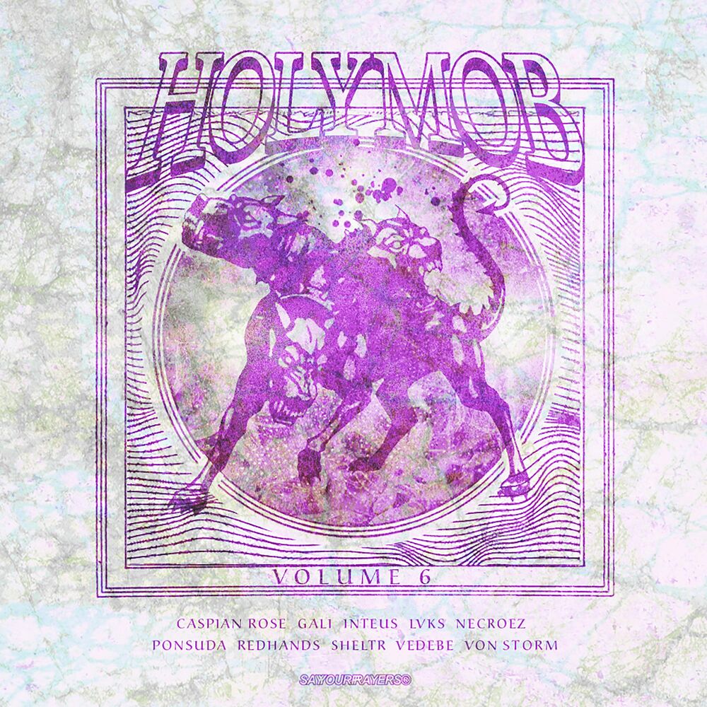 Picture of Holy Mob, Vol. 6