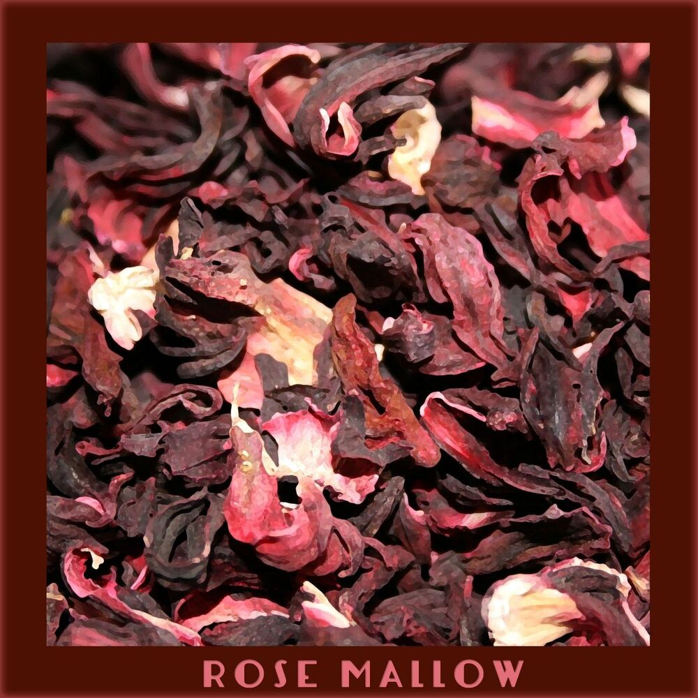 Picture of Rose Mallow