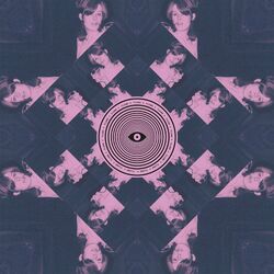 Cover of Flume