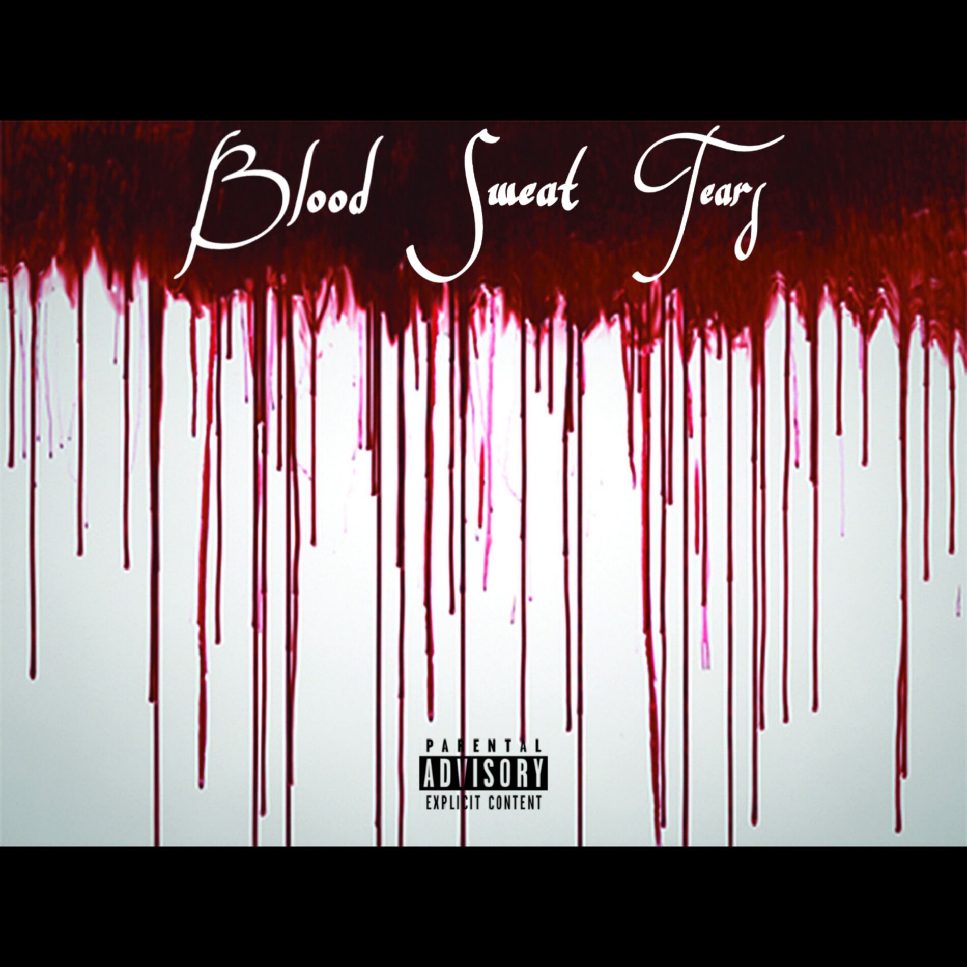 Album cover of Blood Sweat Tears