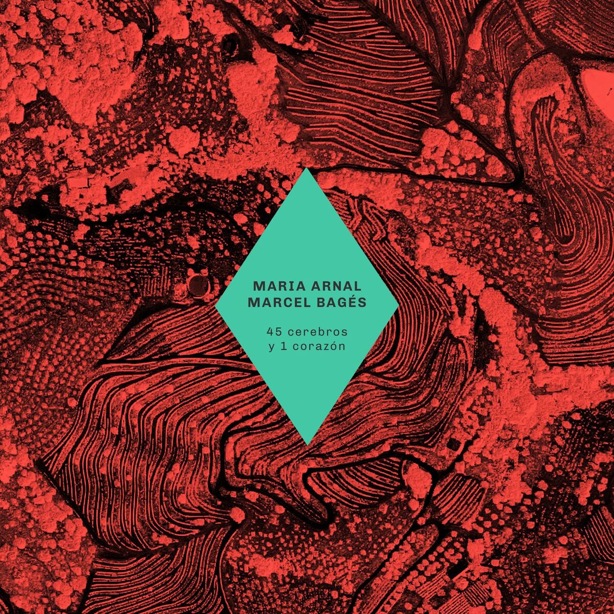 Album cover of Tú Que Vienes a Rondarme