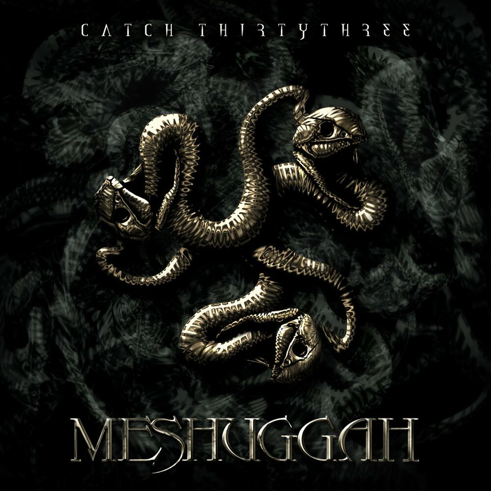 Picture of Catch Thirty Three