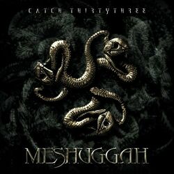 Cover of Catch Thirty Three