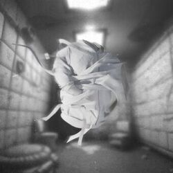 Cover of DDF