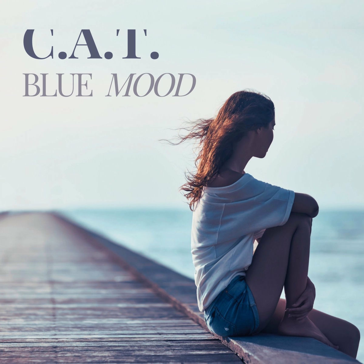Album cover of Blue Mood