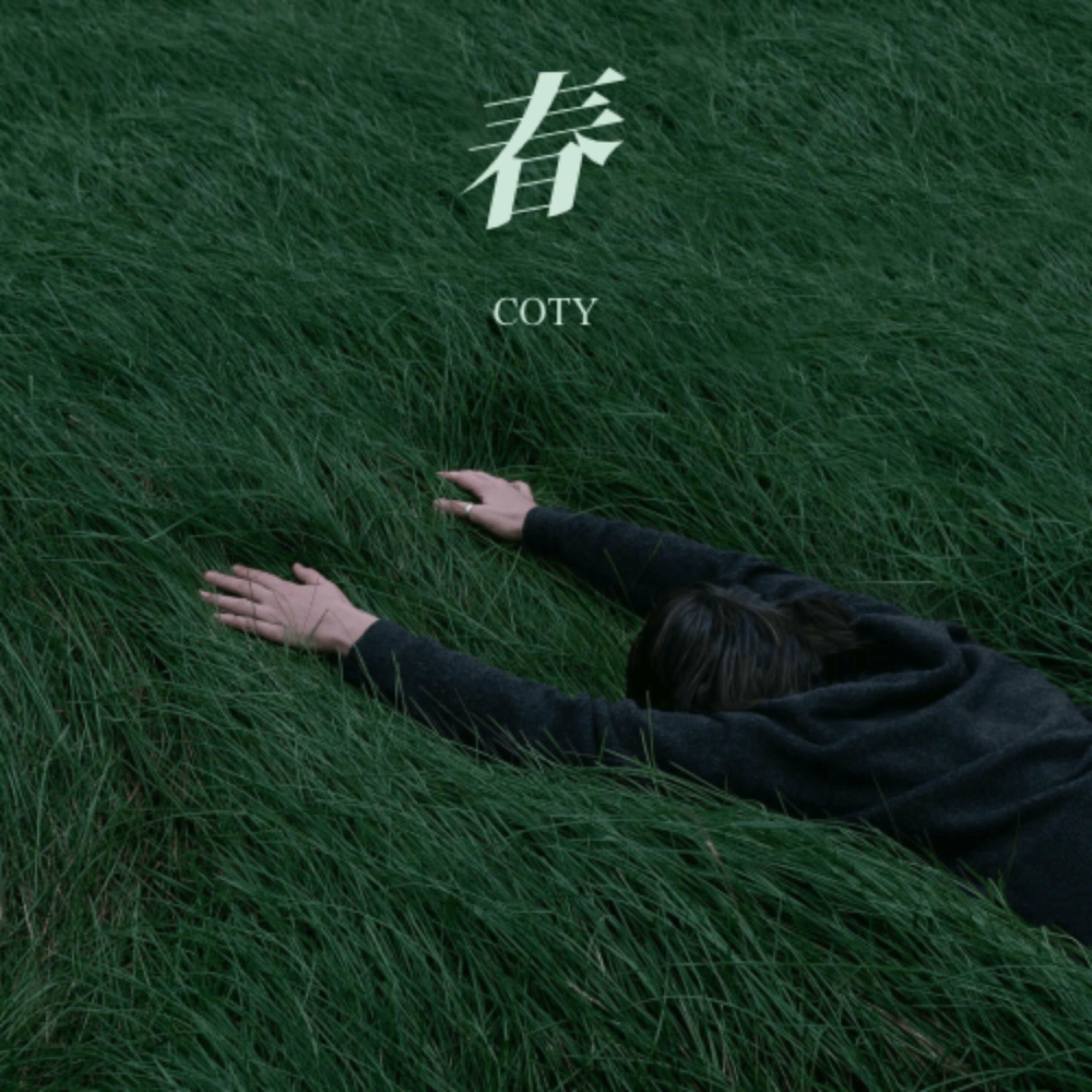 Album cover of 春 (纯音乐)
