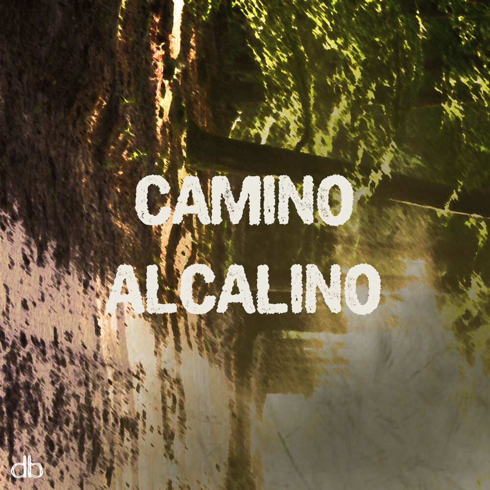 Picture of Camino Alcalino
