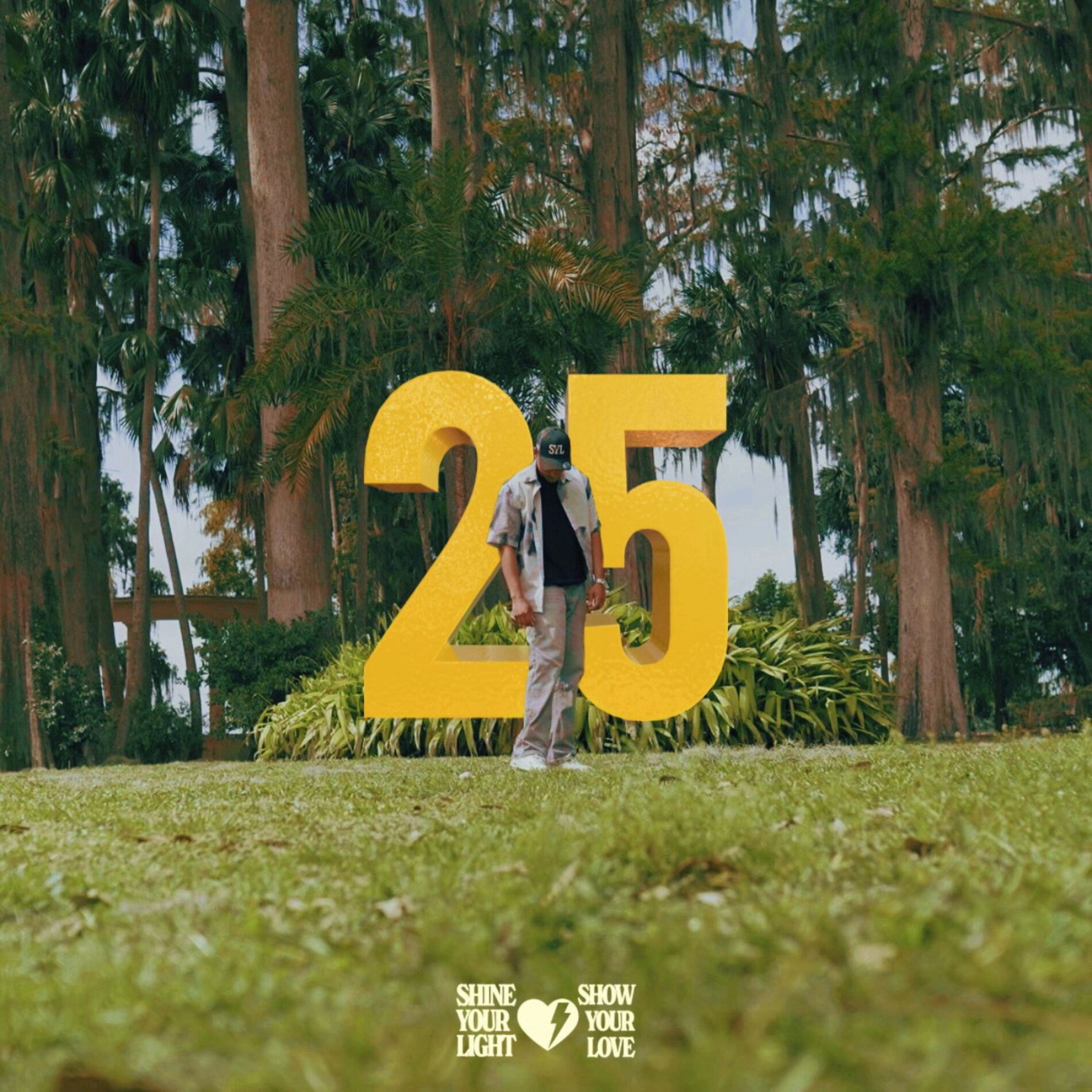 Album cover of 25