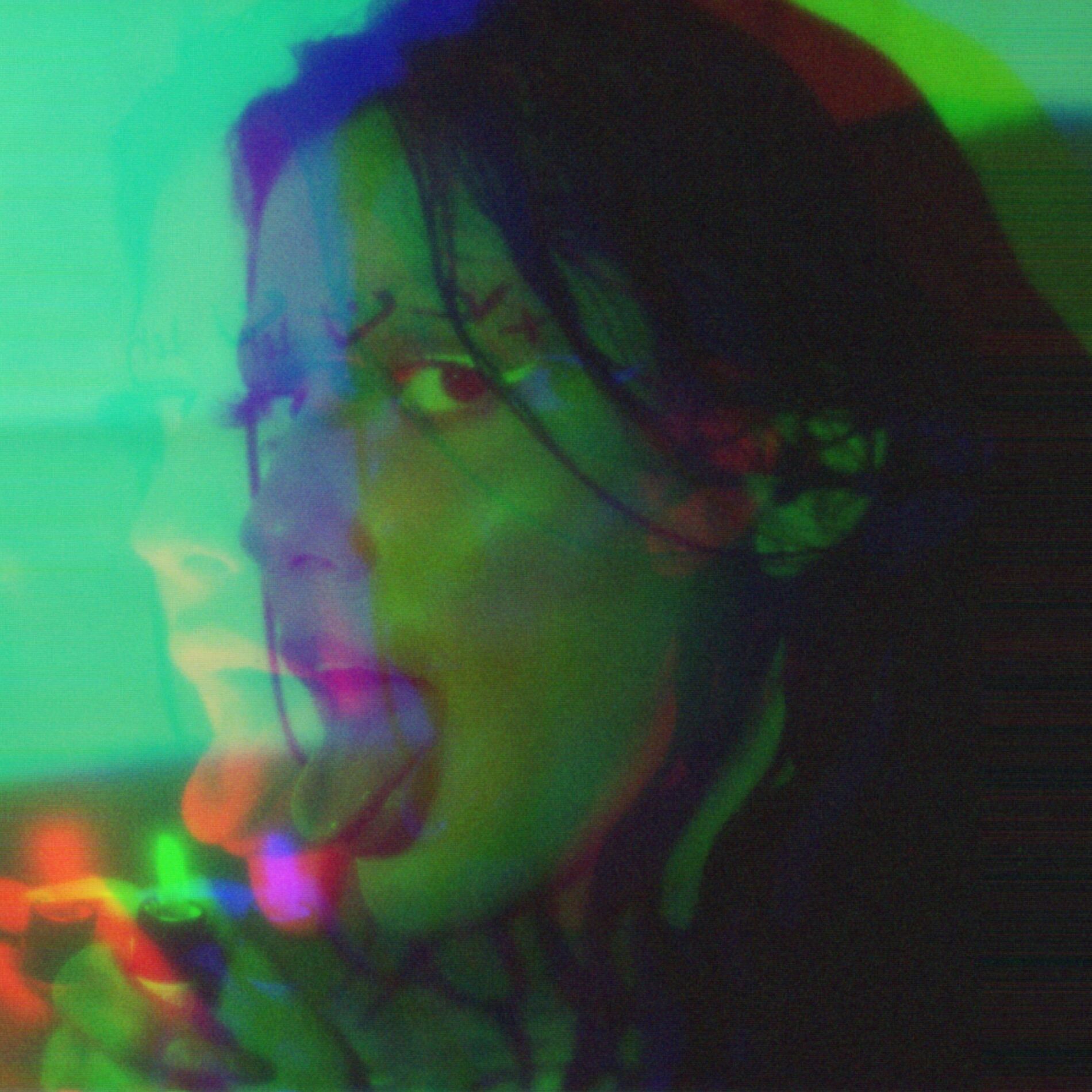 Album cover of THE SNAKE (slowed + reverb)
