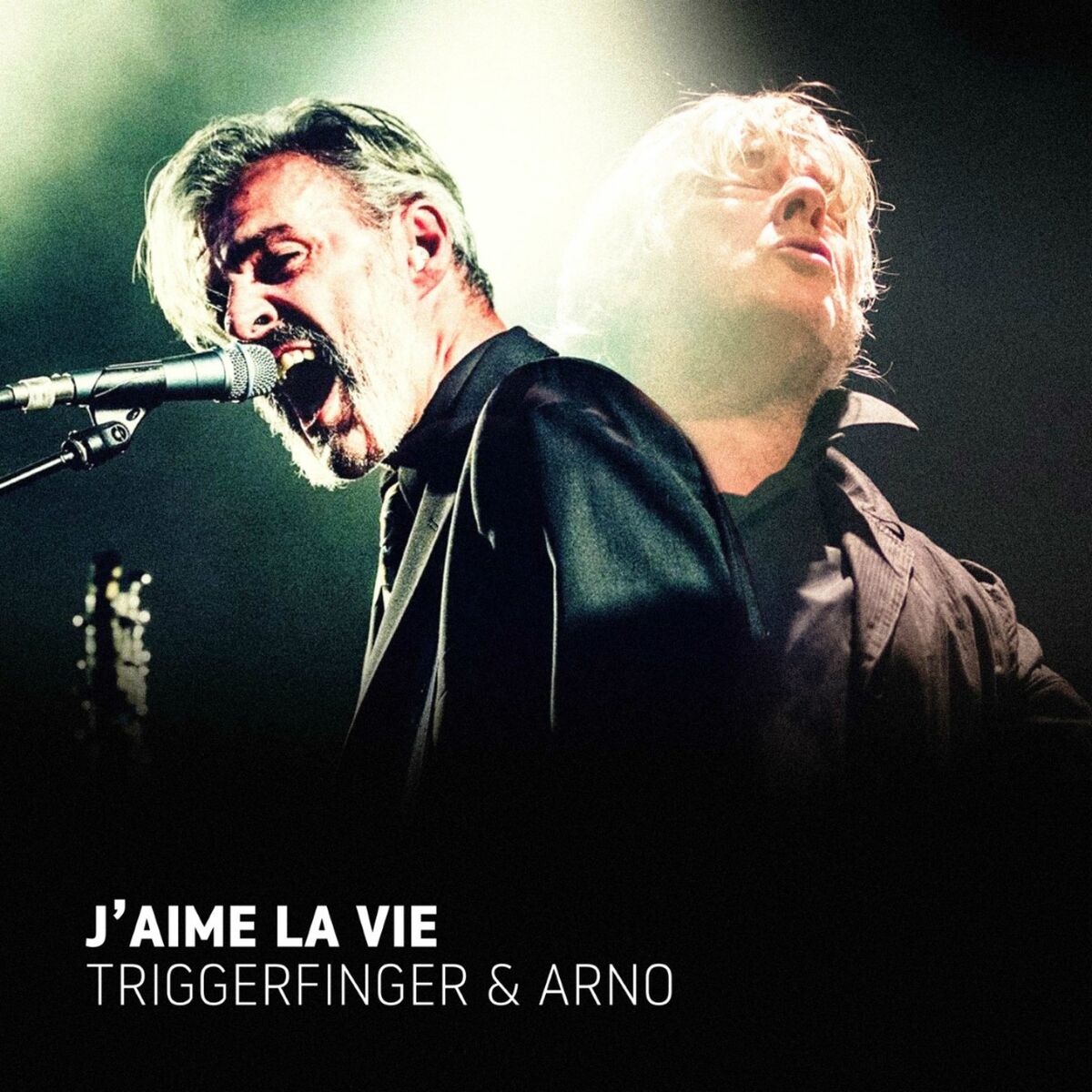 Album cover of J'aime la vie