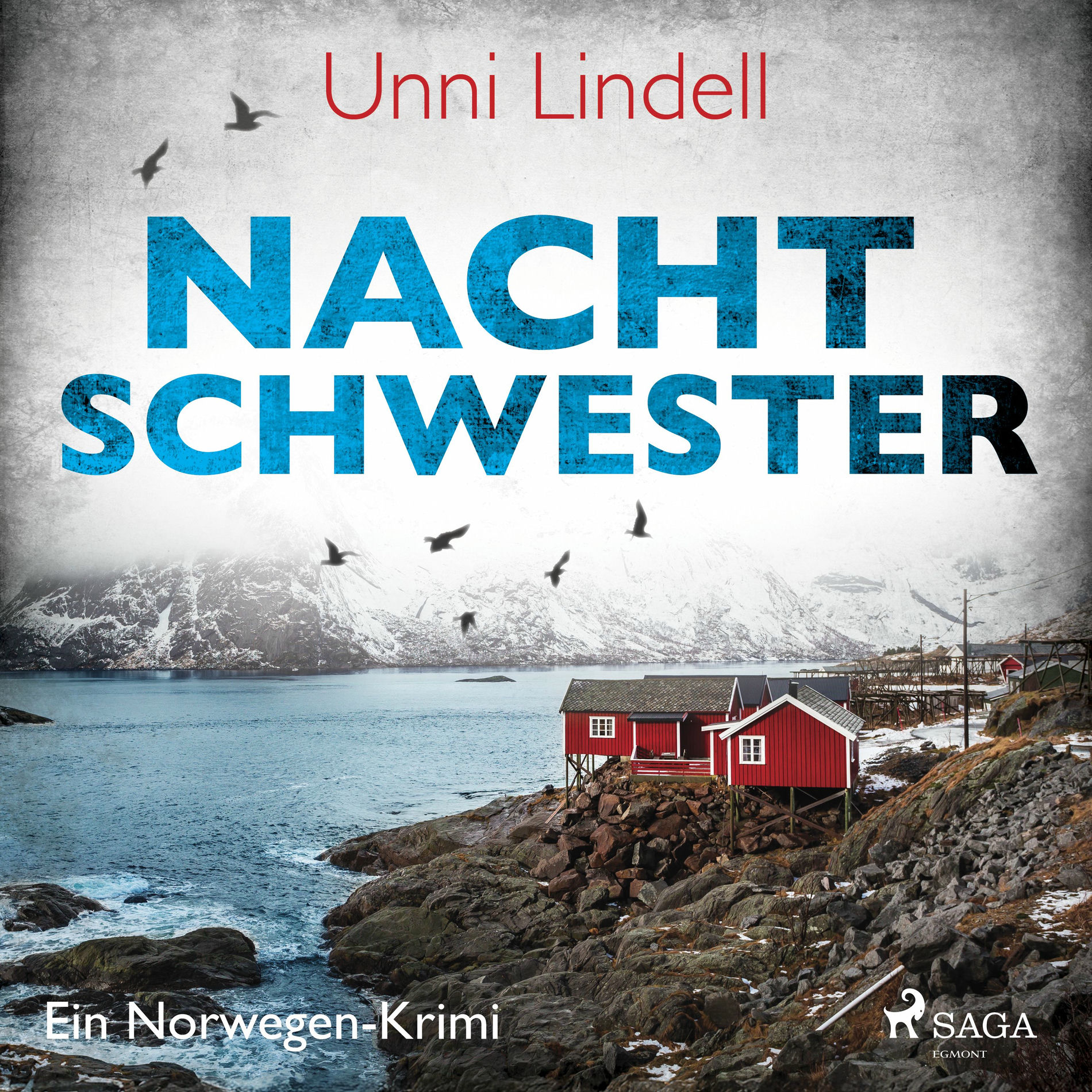 Album cover of Kapitel 01 - Nachtschwester – Ein Norwegen–Krimi