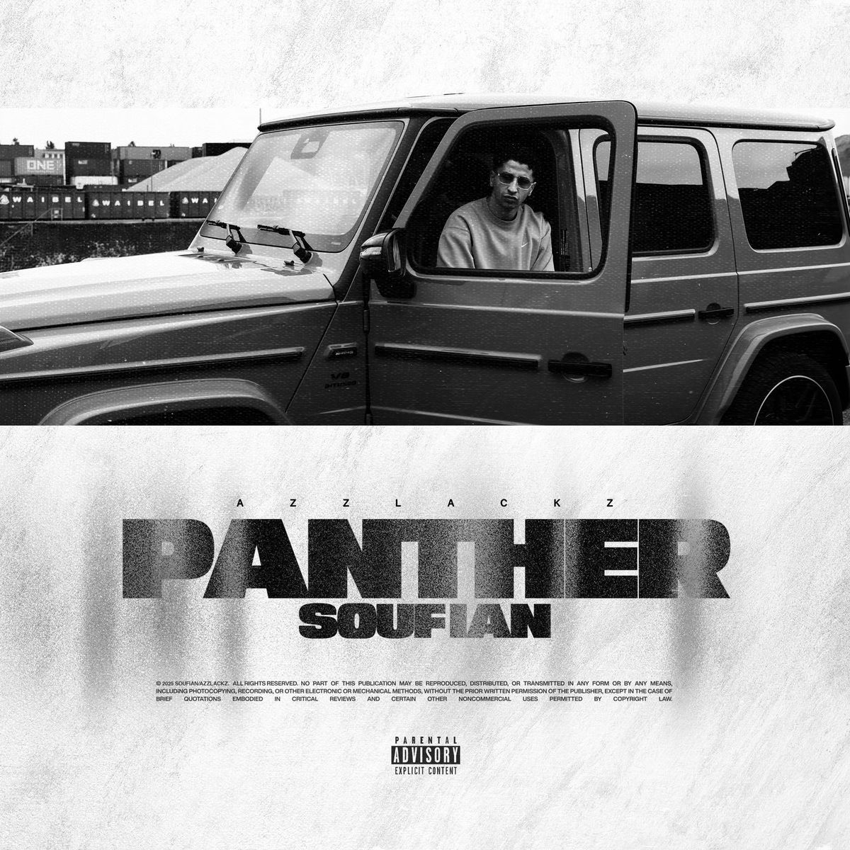 Album cover of Panther
