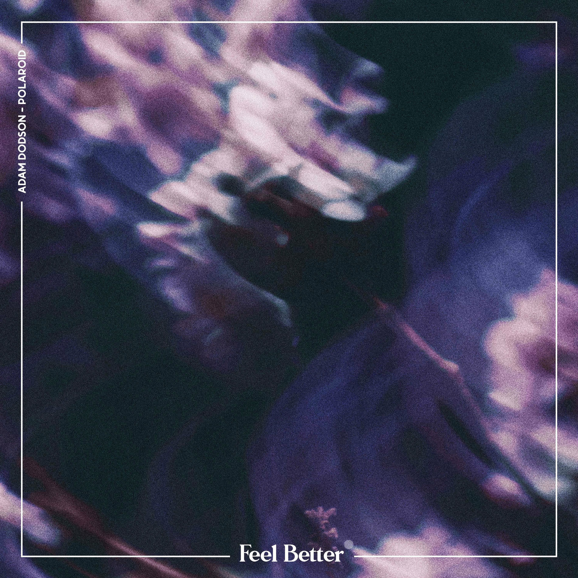 Album cover of Polaroid