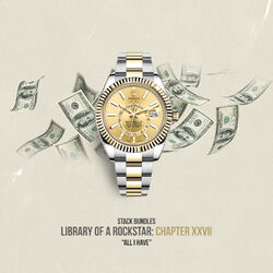 Cover of Library of a Rockstar: Chapter 27 - All I Have