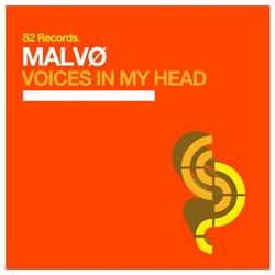 Cover of Voices in My Head