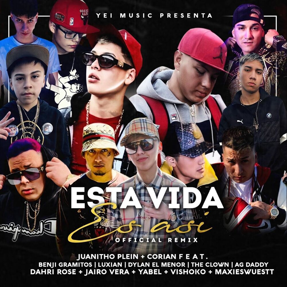 Picture of Esta Vida Es Asi (Remix)