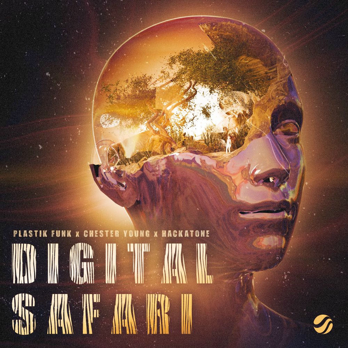 Album cover of Digital Safari